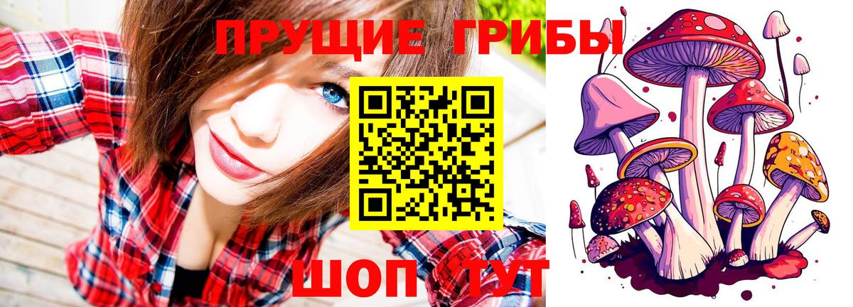 где купить   Вход с VPN  Новотроицк  Галлюциногенные грибы Psilocybine cubensis 